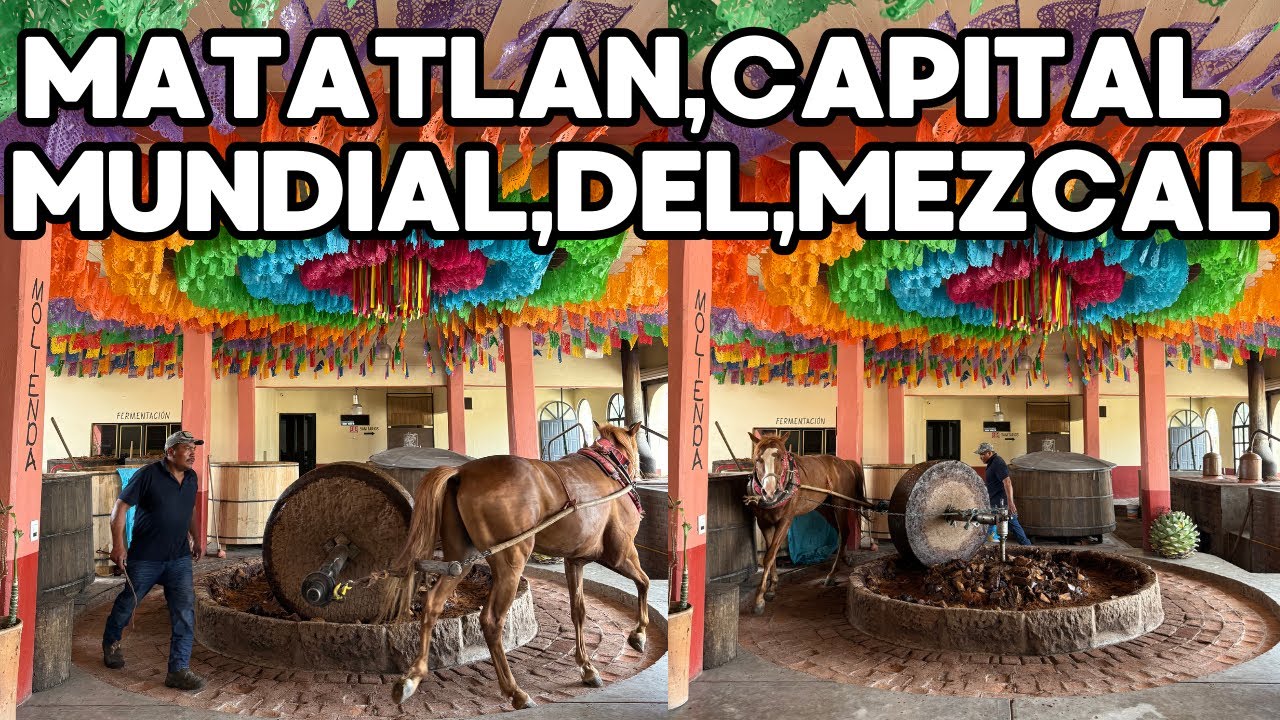 MATATLAN ,CAPITAL MUNDIAL DEL MEZCAL