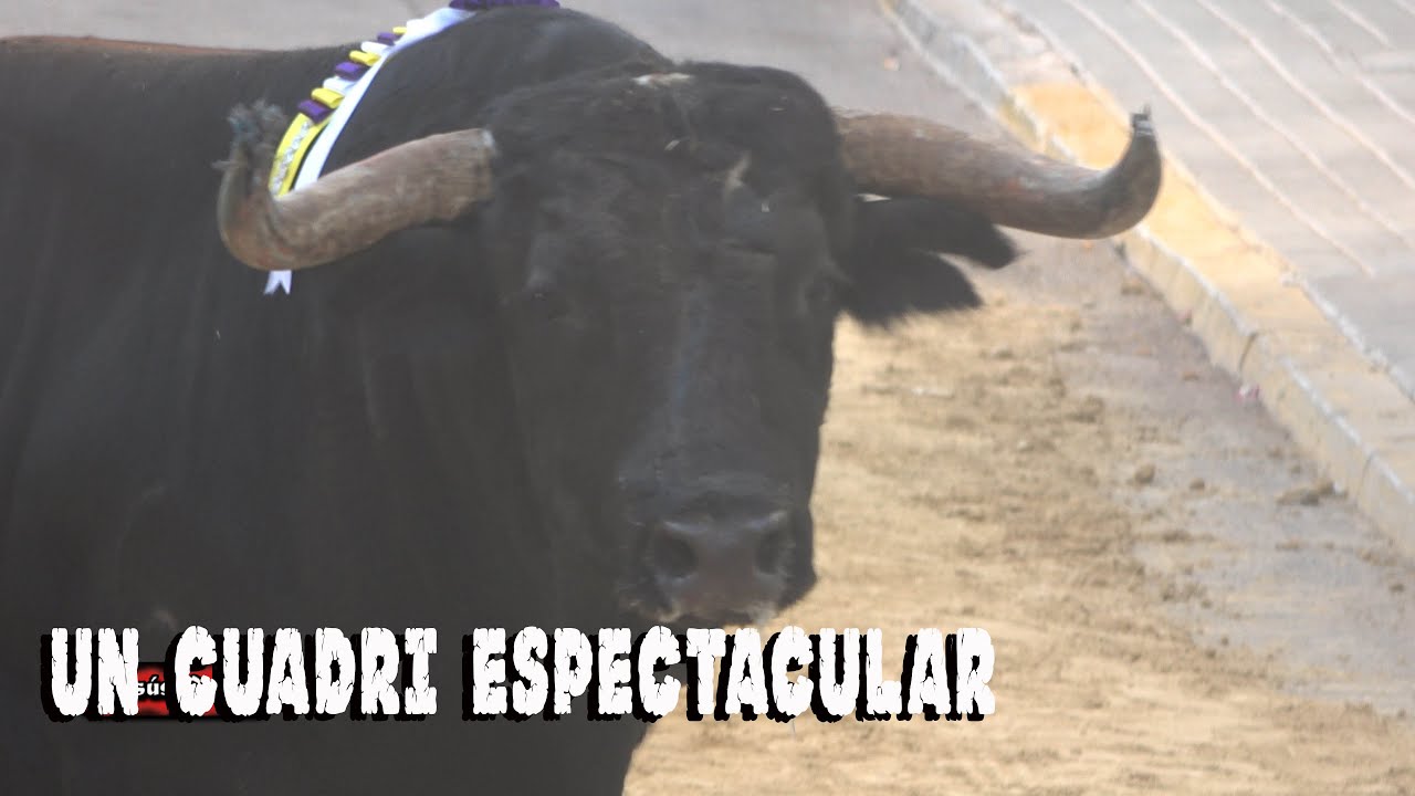 ESPECTACULAR CUADRI EN FAURA