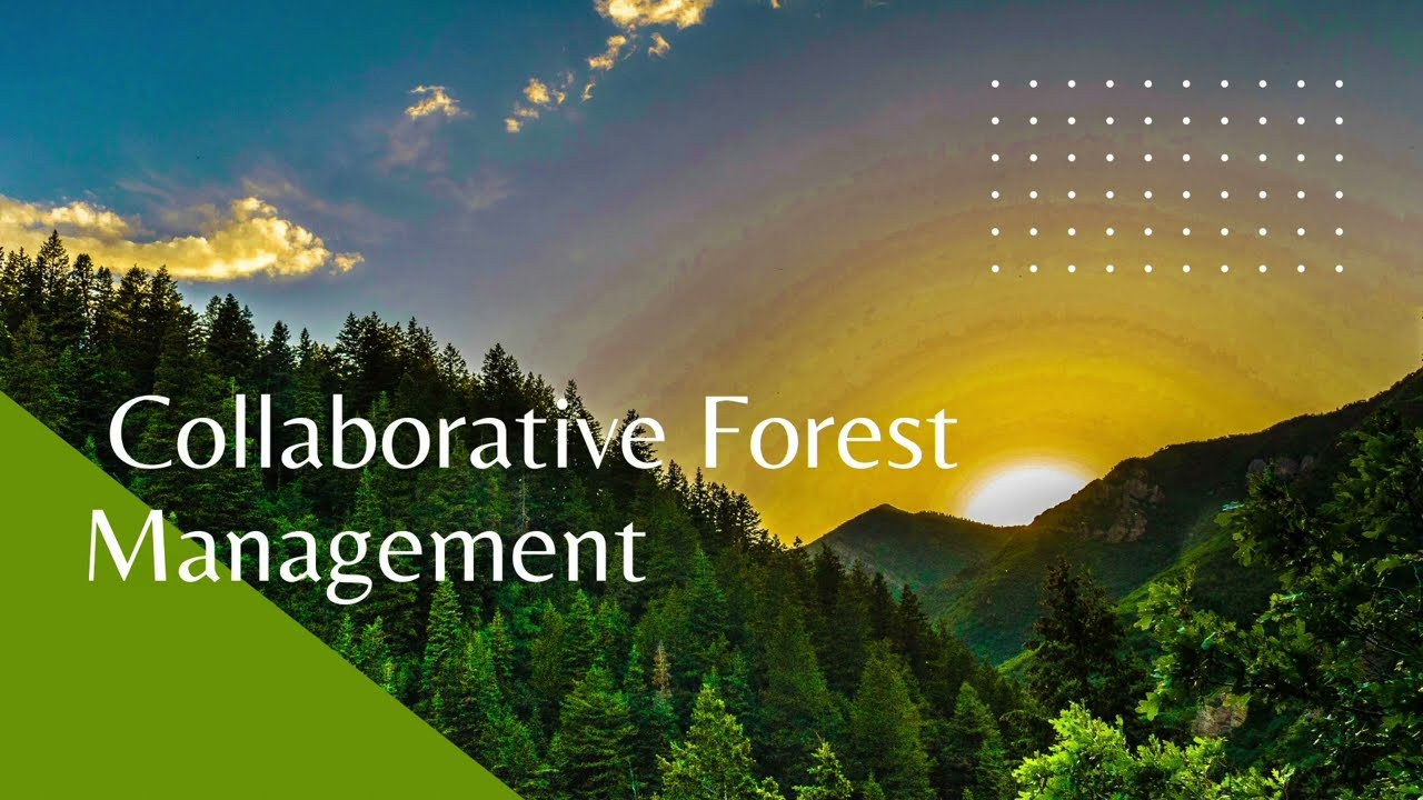 साझेदारी वन व्यवस्थापनl Collaborative Forest Management(CoFM) l objectives of collaborative forest