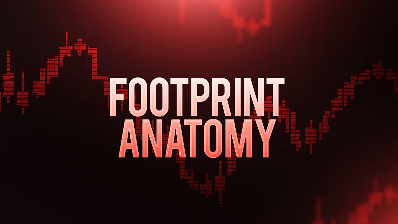 Footprint Anatomy