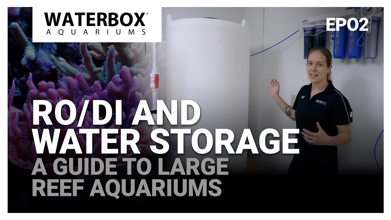 RO/DI and Water Storage for  Large Aquariums