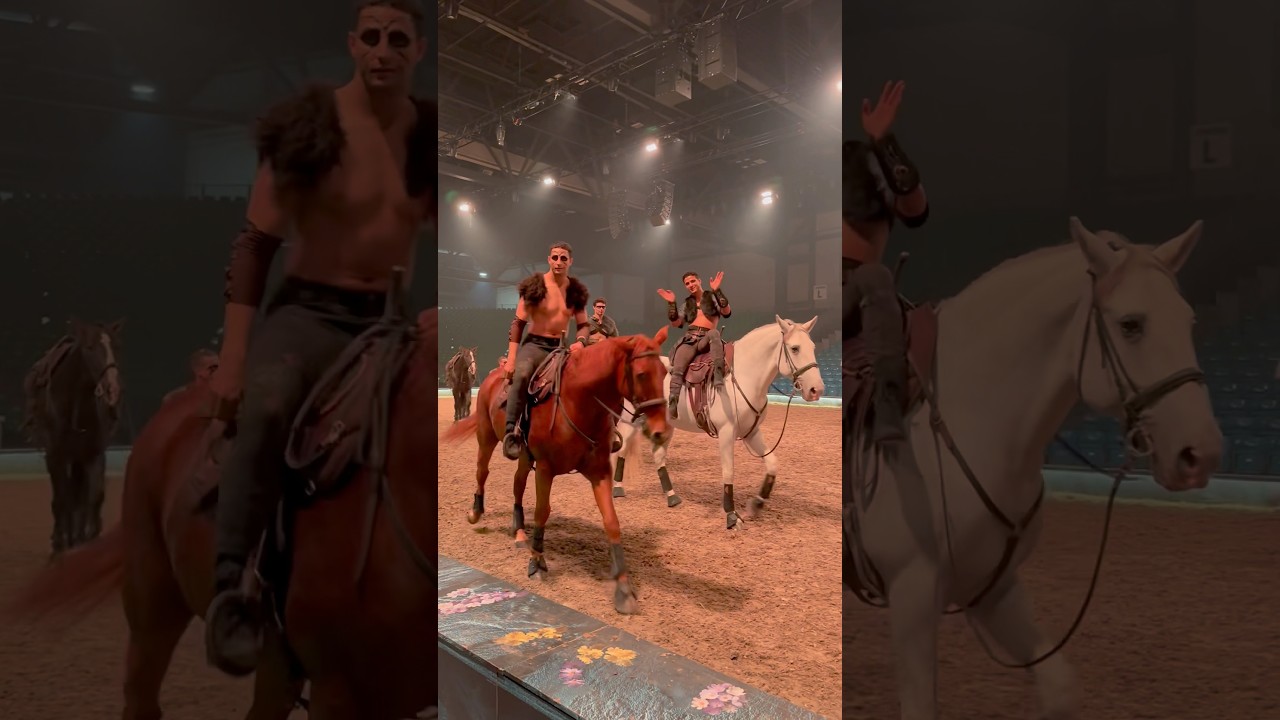 one more day til the Premiere😍 #cavalluna #horse #pferdeshow #horseshow #pferd #countdown #tour