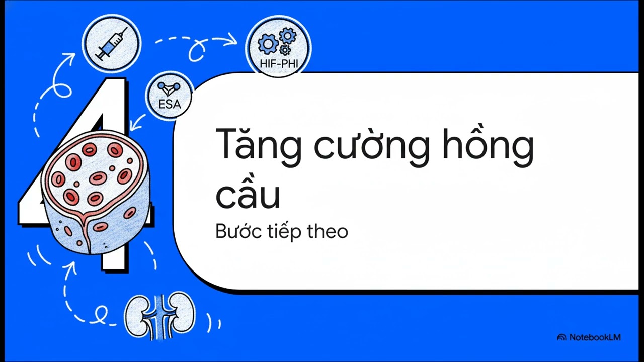 Cập nhật KDIGO 2026 về thiếu máu, điều trị bù sắt và kích thích tạo hồng cầu.