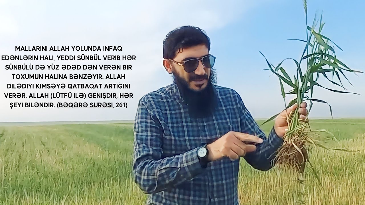 Sədəqə sünbül kimidir (07.05.23) Agali Şirvanlı