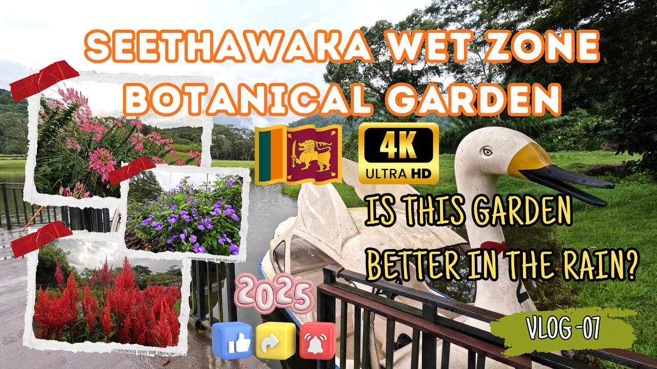 Rainy Day 🌧️ Walk in Seethawaka Botanical Garden 🌿🌸 🦆[4K 60fps] 🎥&ndash; Avissawella 🇱🇰🌾🪷2025