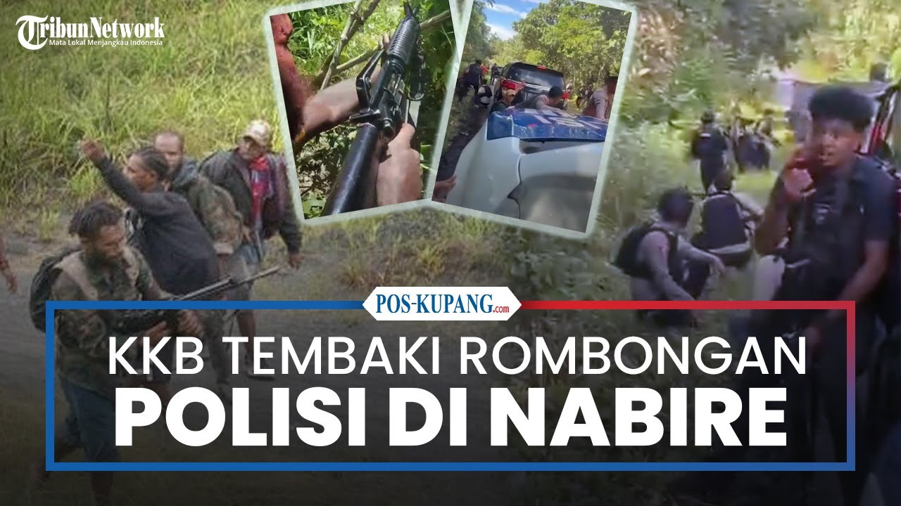 KKB Tembaki Rombongan Mobil Kapolda Papua Tengah, 4 Polisi Terluka