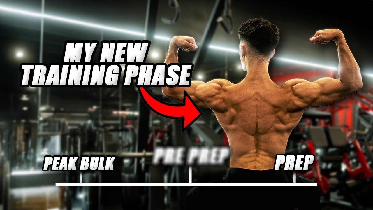 MY NEW TRAINING PHASE (BULK OVER)