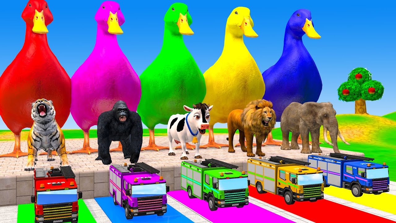 Long Slide Game With Cow Elephant Gorilla Hippopotamus Tiger 3d Animal Game Funny 3d Animals