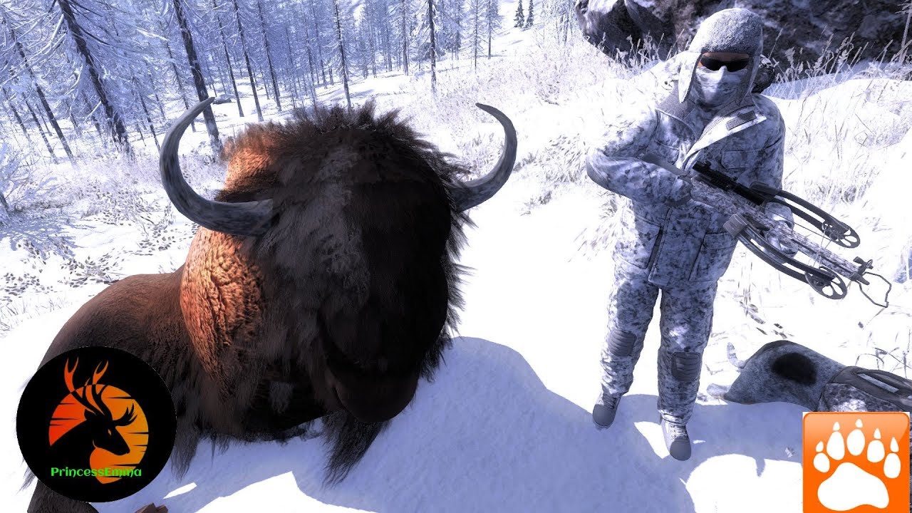 Thehunter Classic 123
