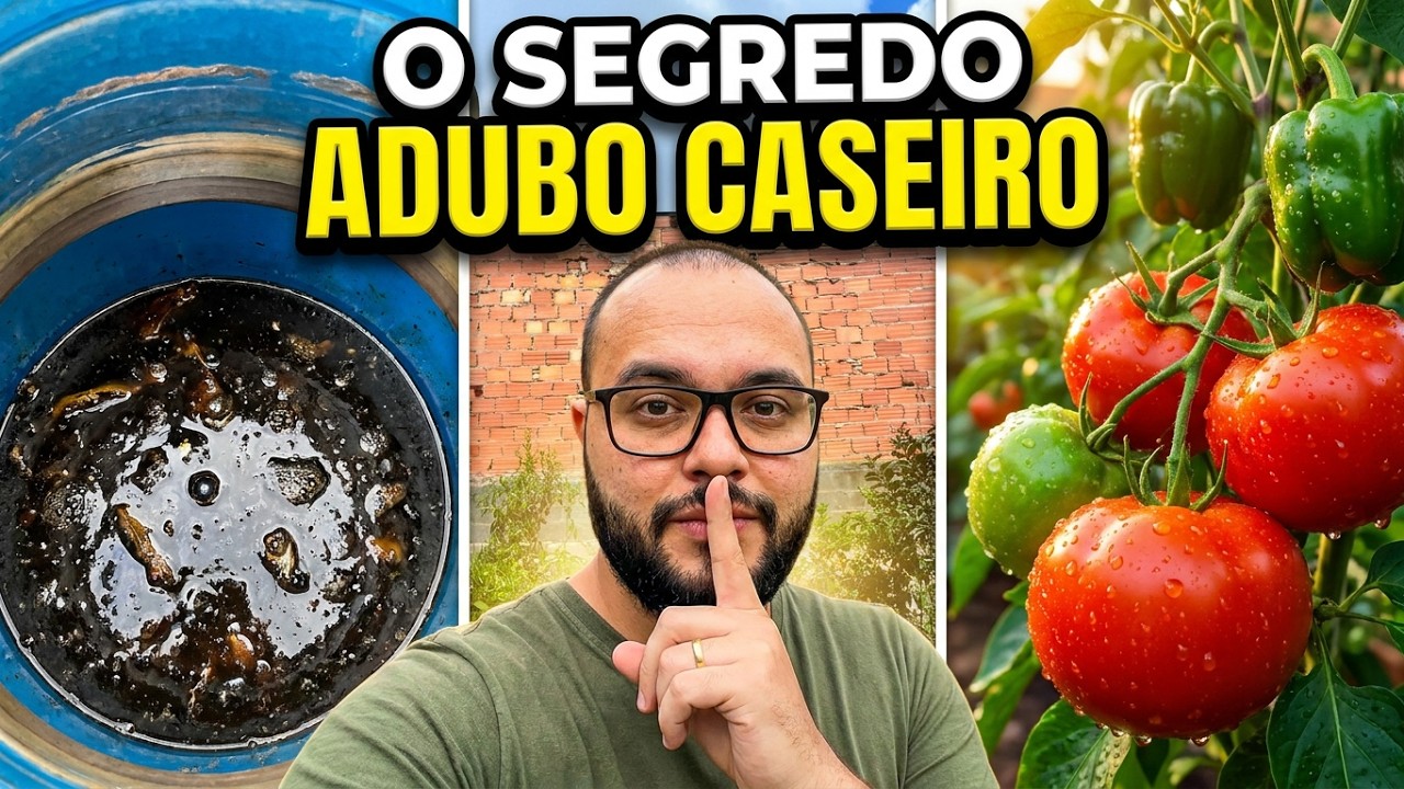 ADUBO CASEIRO que Aumentou Minha Produção 2X!