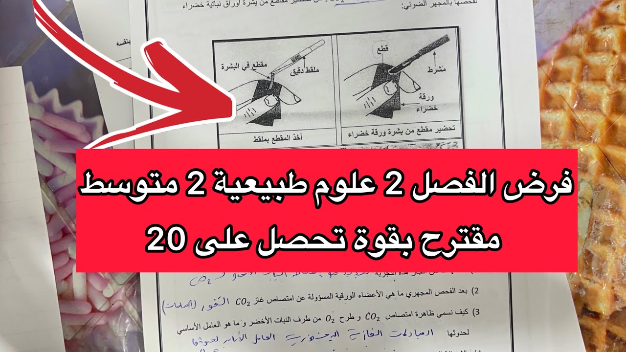 فرض مقترح بقوة في العلوم الطبيعية سنة 2 ثانية متوسط الفصل الثاني 