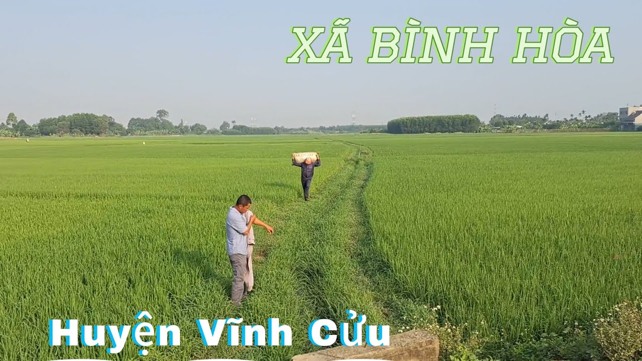 Khám Phá Vùng Quê Xã Nông Thôn Mới Bình Hòa Huyện Vĩnh Cửu Tỉnh Đồng Nai
