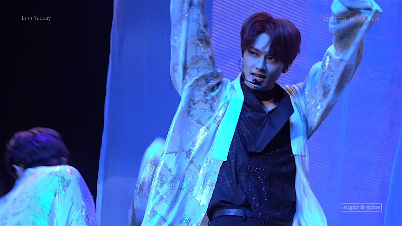 200112 / 200114 Ode To You In Chicago / Dallas - SEVENTEEN Lilili Yabbay 직캠 (JUN 준 4K Fancam)