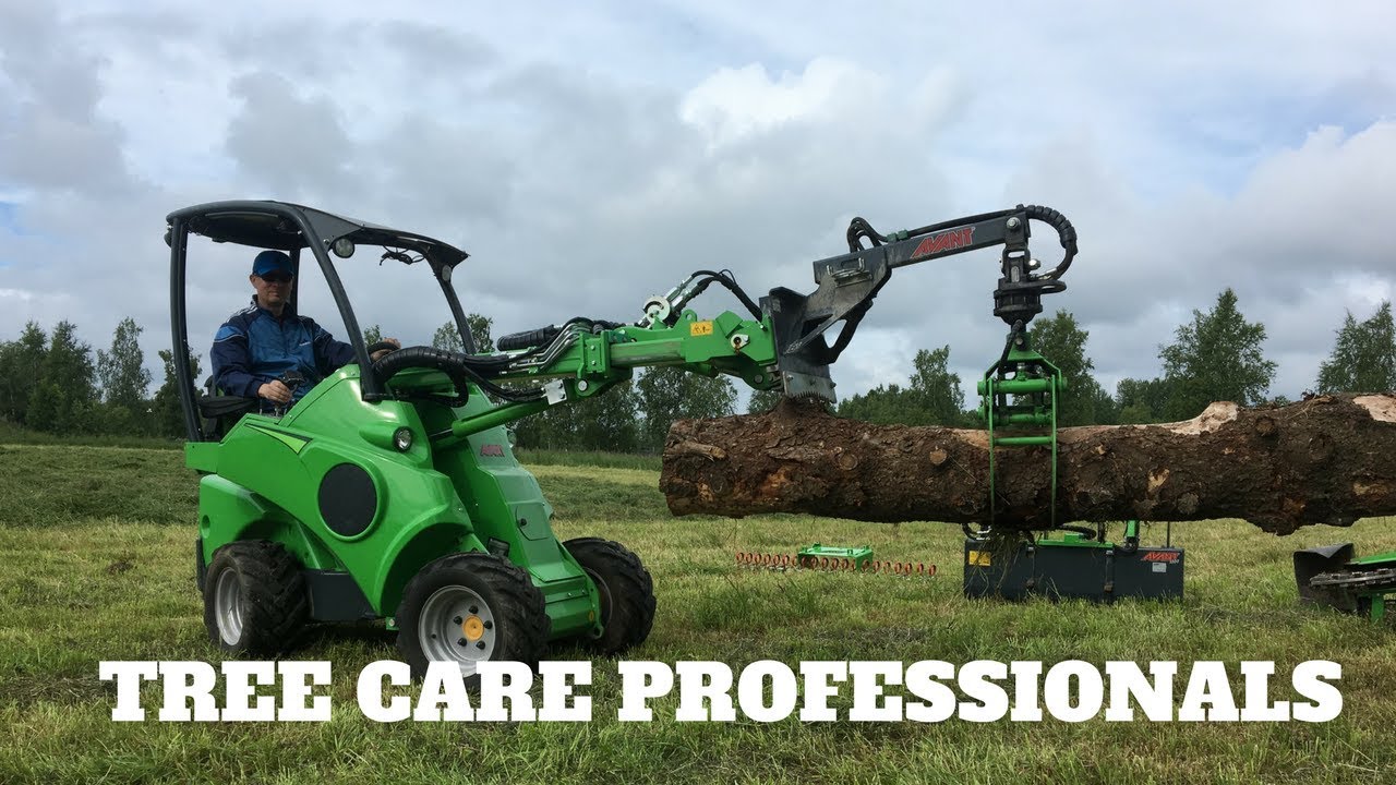 Avant is the right solution for tree professionals.