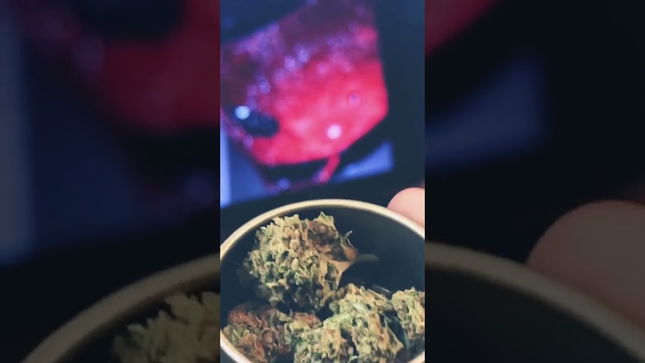Hella weed 🤘🏽🎧