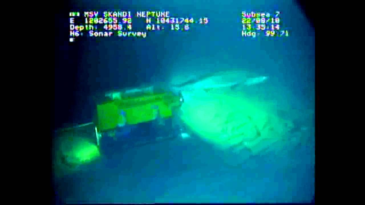 Shark seen by Hercules 6 ROV, 8-22-10