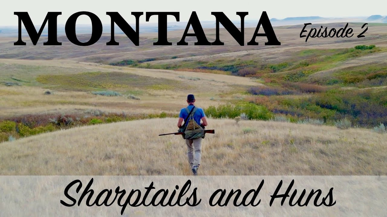 Montana '23 pt-2, My Brother Joins the Party!!