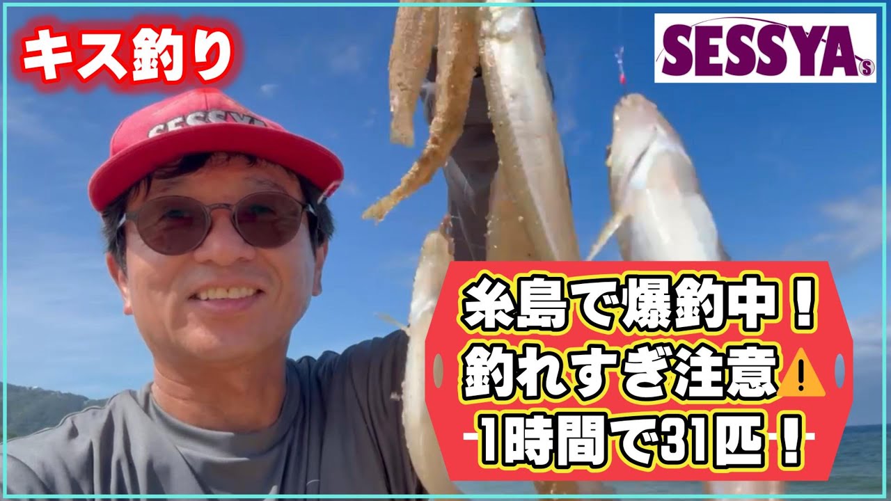 【キス釣り】糸島で爆釣中！釣れすぎ注意⚠️1時間で31匹！