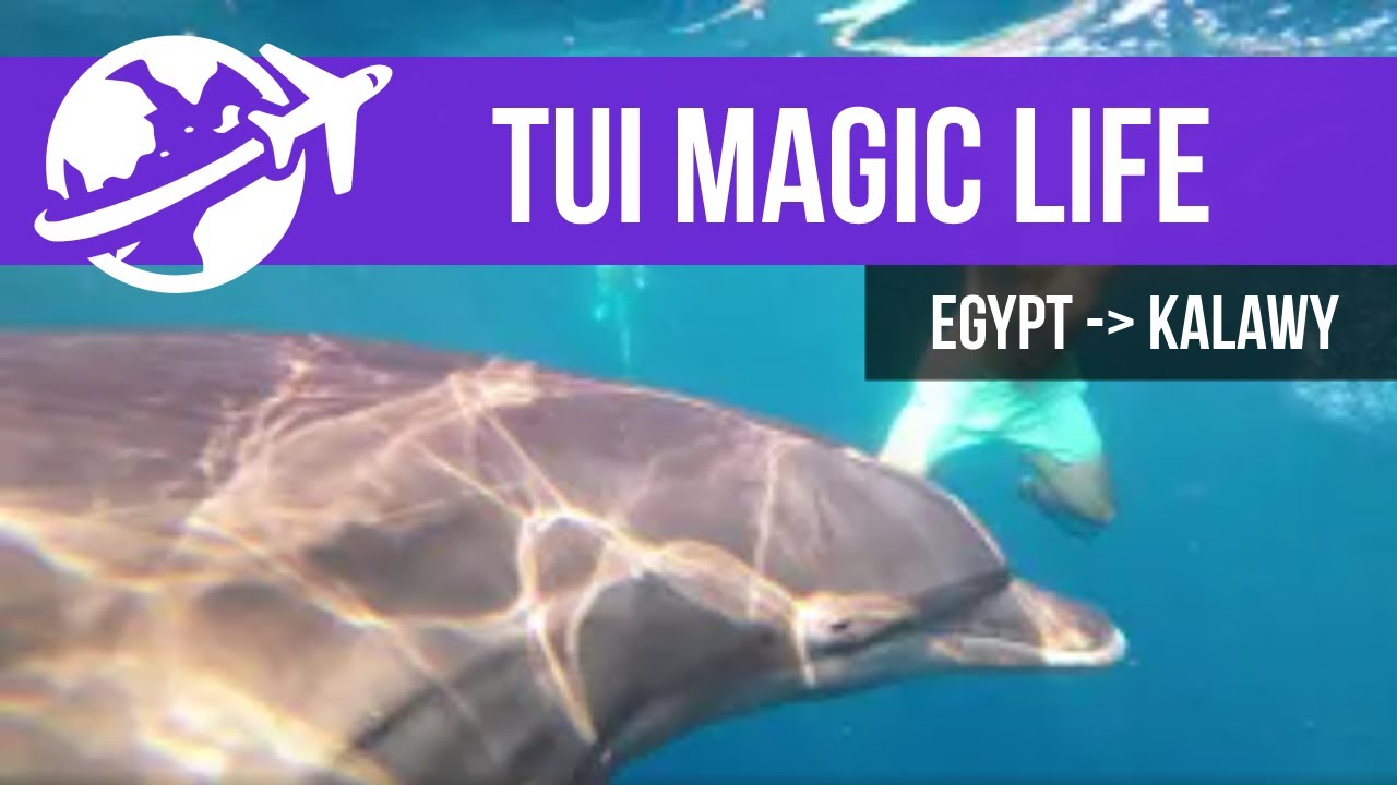 TUI MAGIC LIFE Kalawy Egypt - снорклинг с дельфинами, байдарки