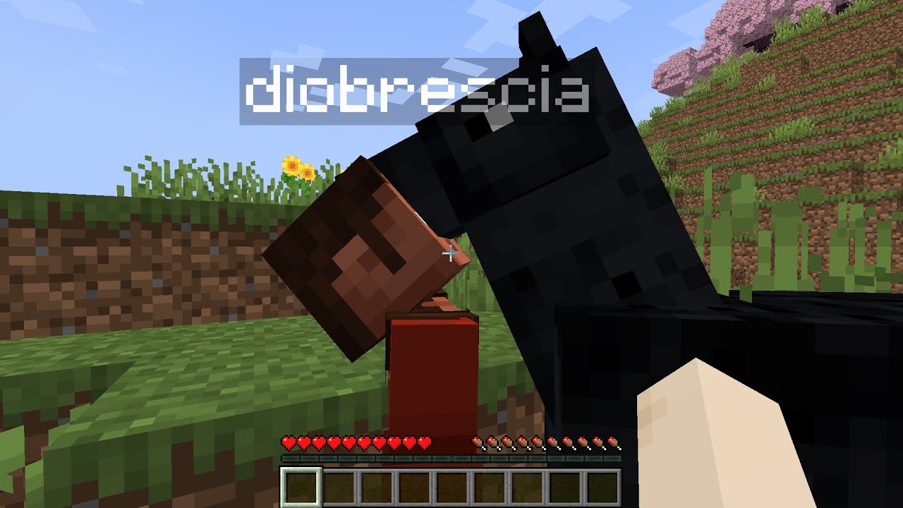 Minecraft ma con un imprevisto | MINECRAFT ITA | #1 #minecraft