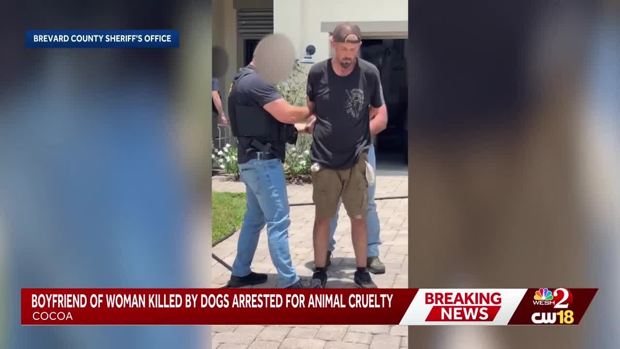 Partner of woman mauled to death by neighbor's dogs arrested after dogs found dead in trailer