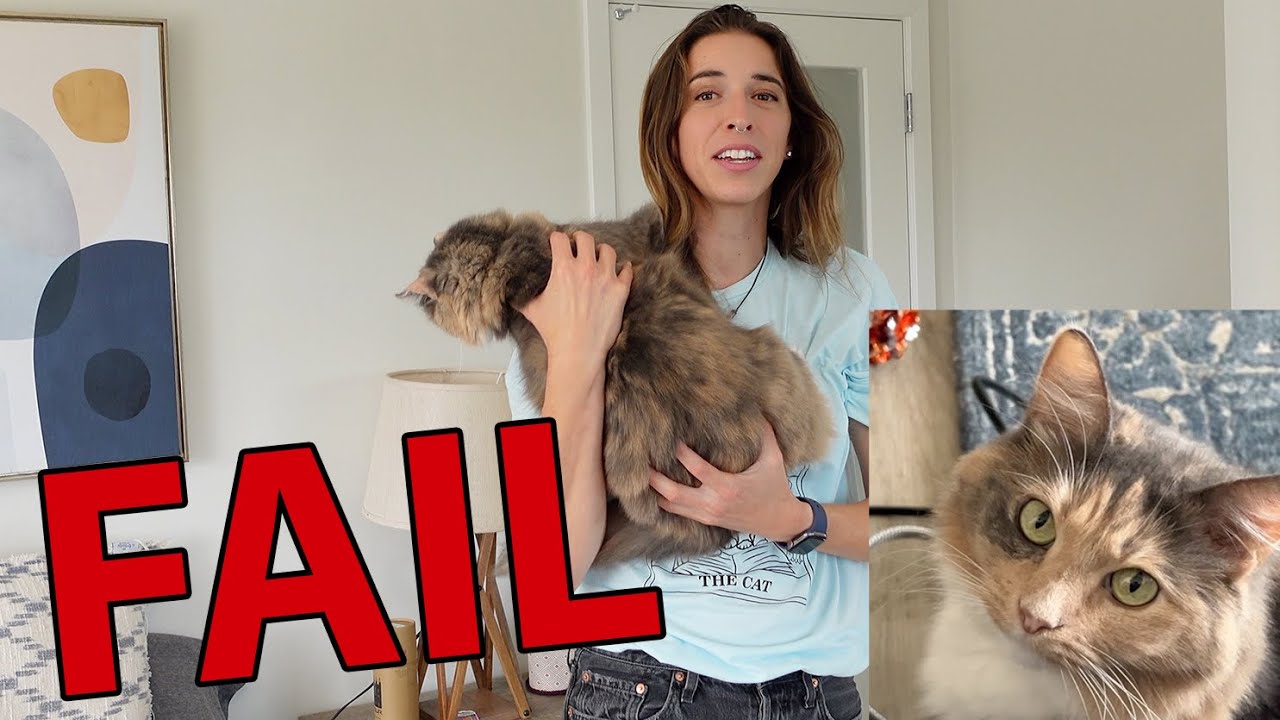Cat Video Fail