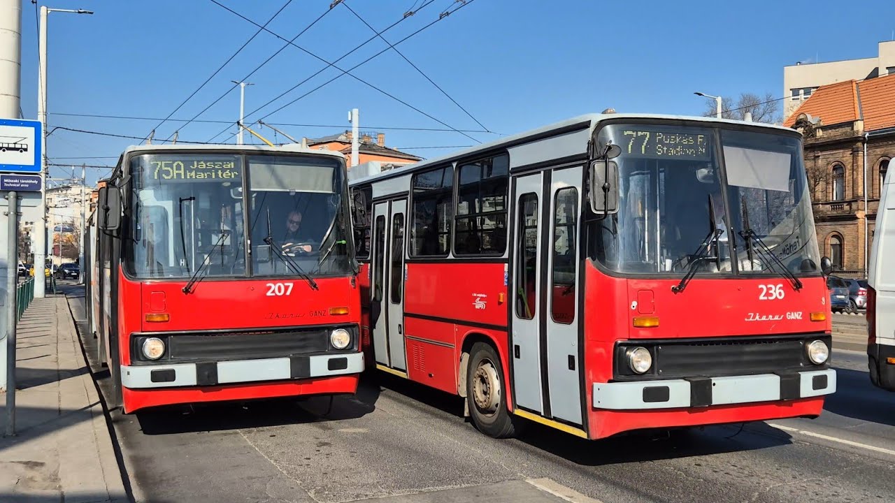 Utaz&aacute;s egy Ikarus Trolival Budapesten 207-es Ikarus GVM 280T a 75A vonalon (2025.02.19)