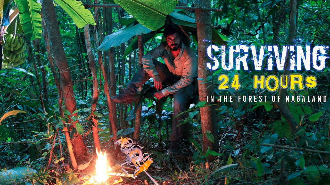 24 Hours Survival Challenge in the Rainforest of NAGALAND | MAN vs WILD