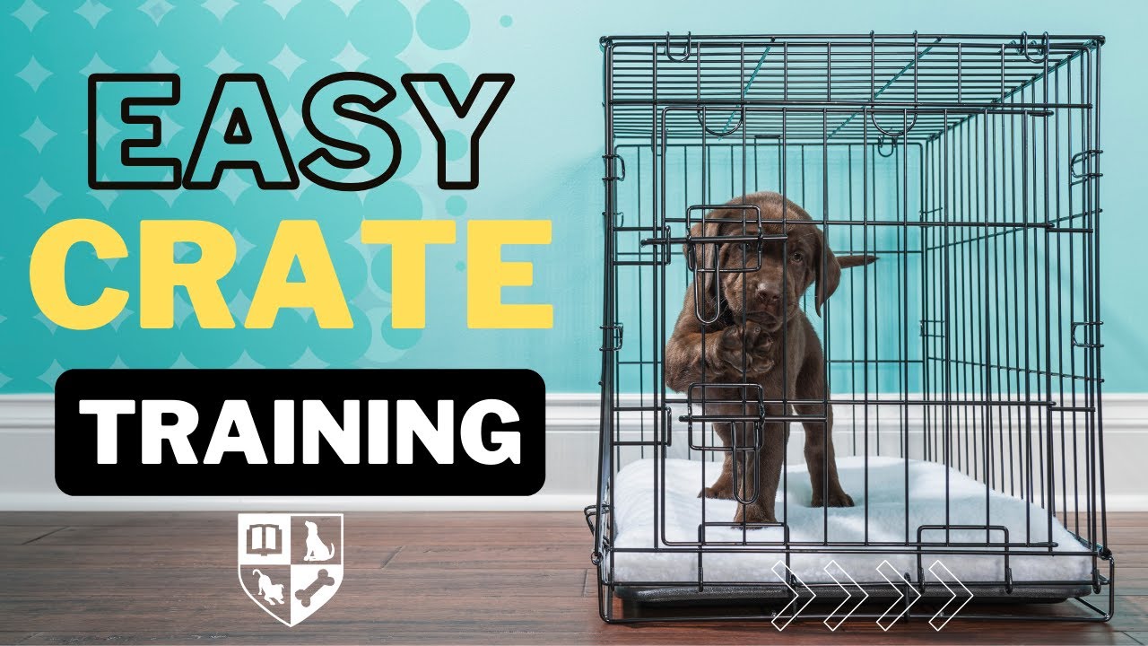 3 Easy Crate Training Tips so your pup learns to love their crate.