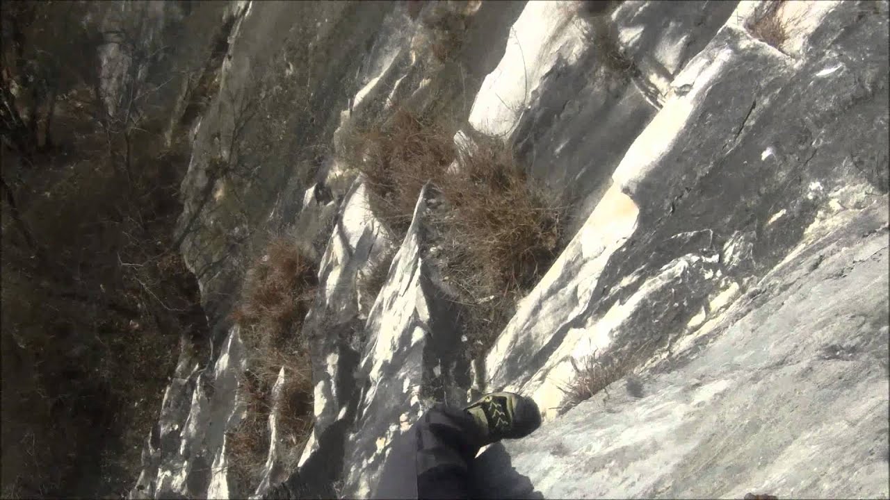 Spigolo del rosmarino 3+ paretine bianche di Foresto