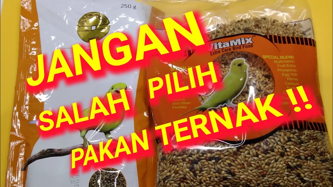 PAKAN KENARI COCOK UNTUK TERNAK ANTI GAGAL | VITAMIX VS GOLD COIN