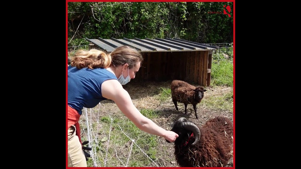 L'association Ty Pouce s'installe au parc des Gorrêts