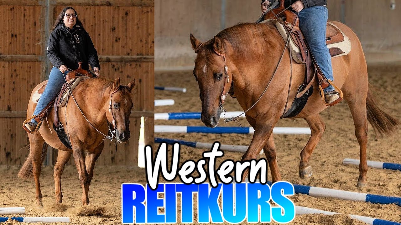 Reitkurs 🏇🏼 mit meinem QUARTER HORSE Kerry
