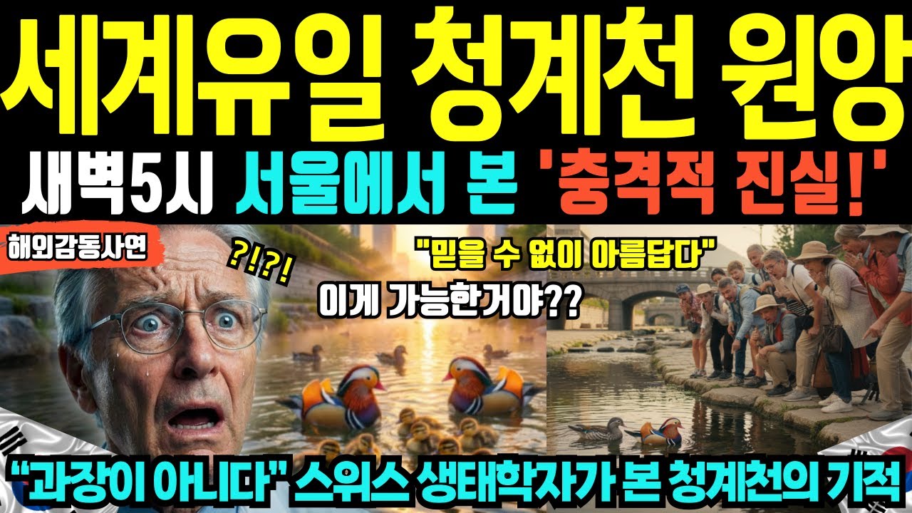 [해외감동사연] 한국 서울 청계천의 기적, 
