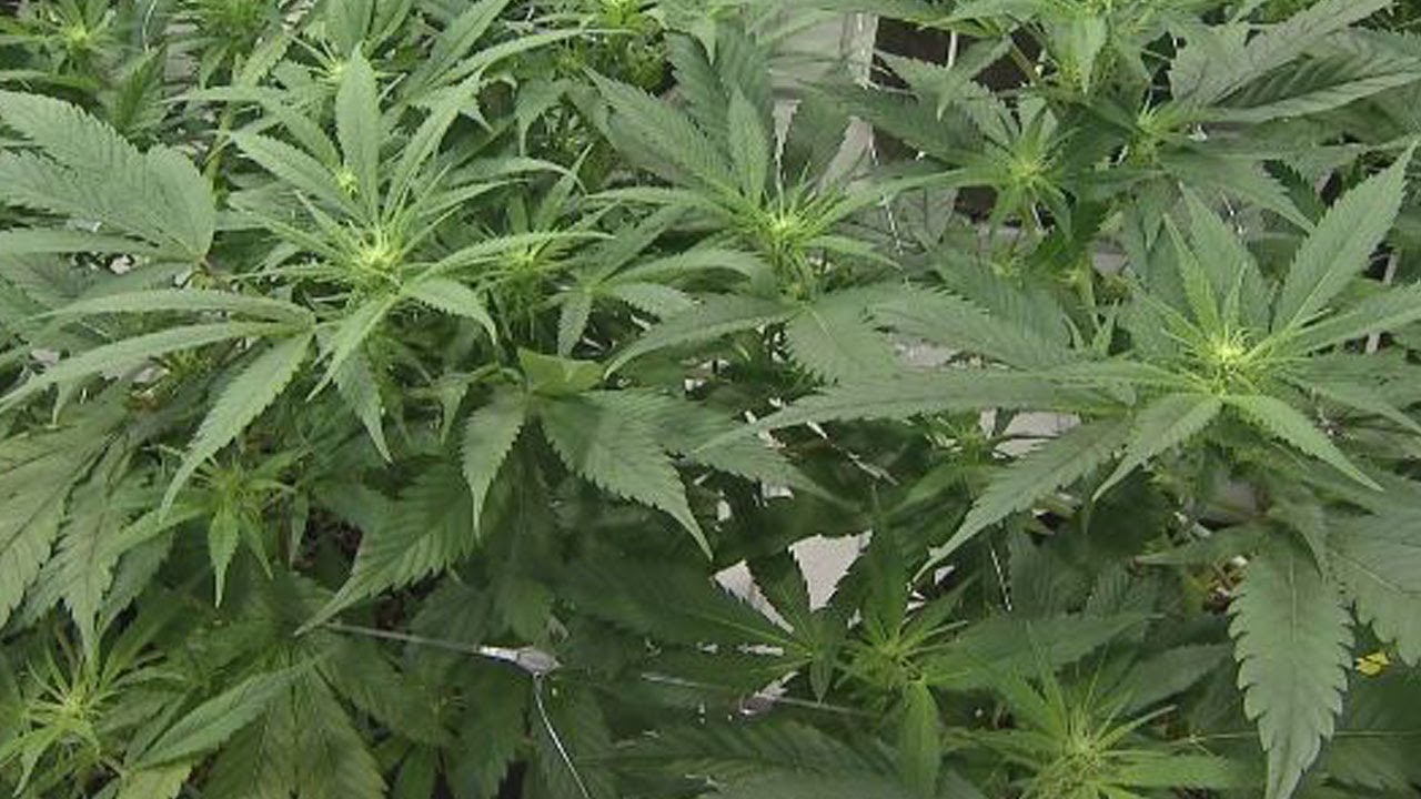 Ohio patients closer to being able to buy medical marijuana
