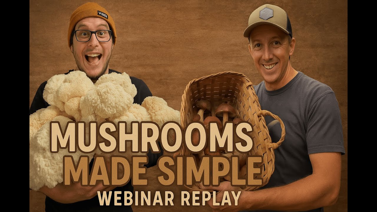 Mushrooms Made Easy - Growing, Foraging & Medicine Making