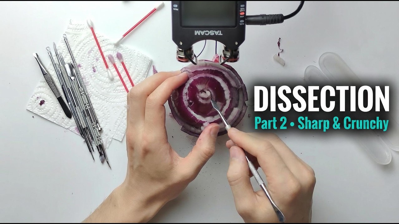 【ASMR】Vegetable Dissection Part 2 | Sharp & Crunchy ASMR