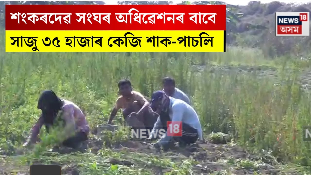 Biswanath News। শংকৰদেৱ সংঘৰ অধিৱেশনৰ বাবে কন্যকা কৃষিপামে যোগান ধৰিব শাক-পাচলি। N18V