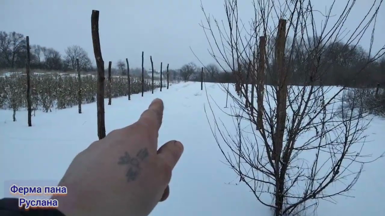 Готую нову теплицю для розсади.