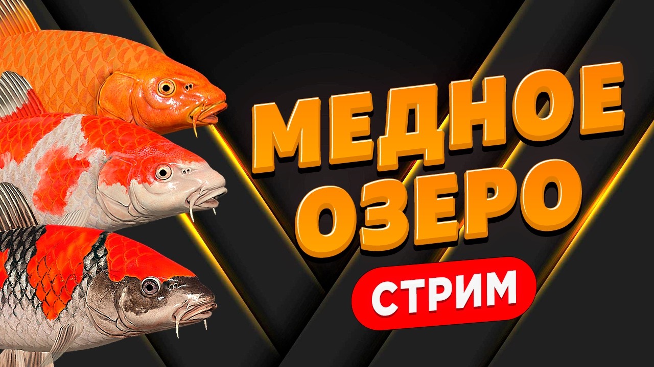 ПРОВЕРЯЕМ ФАРМ СЕРЕБРА • МЕДНОЕ ОЗЕРО • СТРИМ • Русская Рыбалка 4 РР4