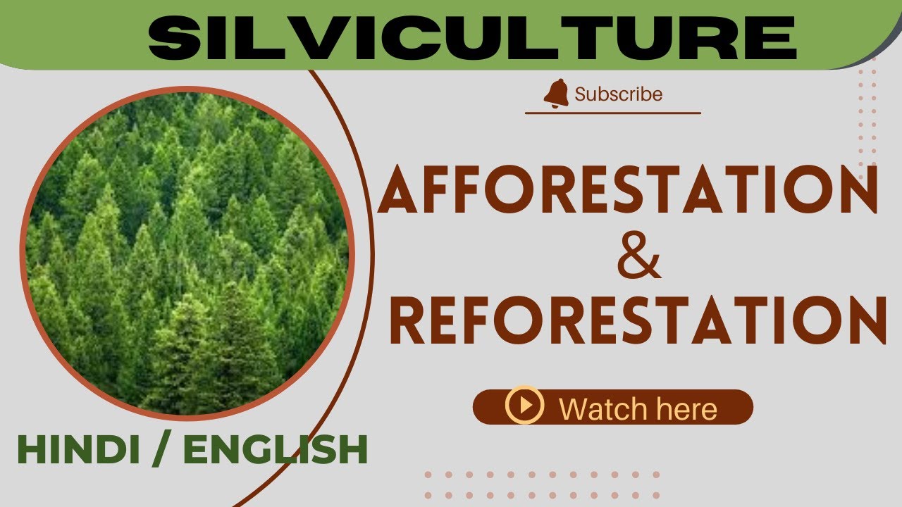 Afforestation and reforestation || definition and objects|| @scoringscience4120 || forestry classes ||