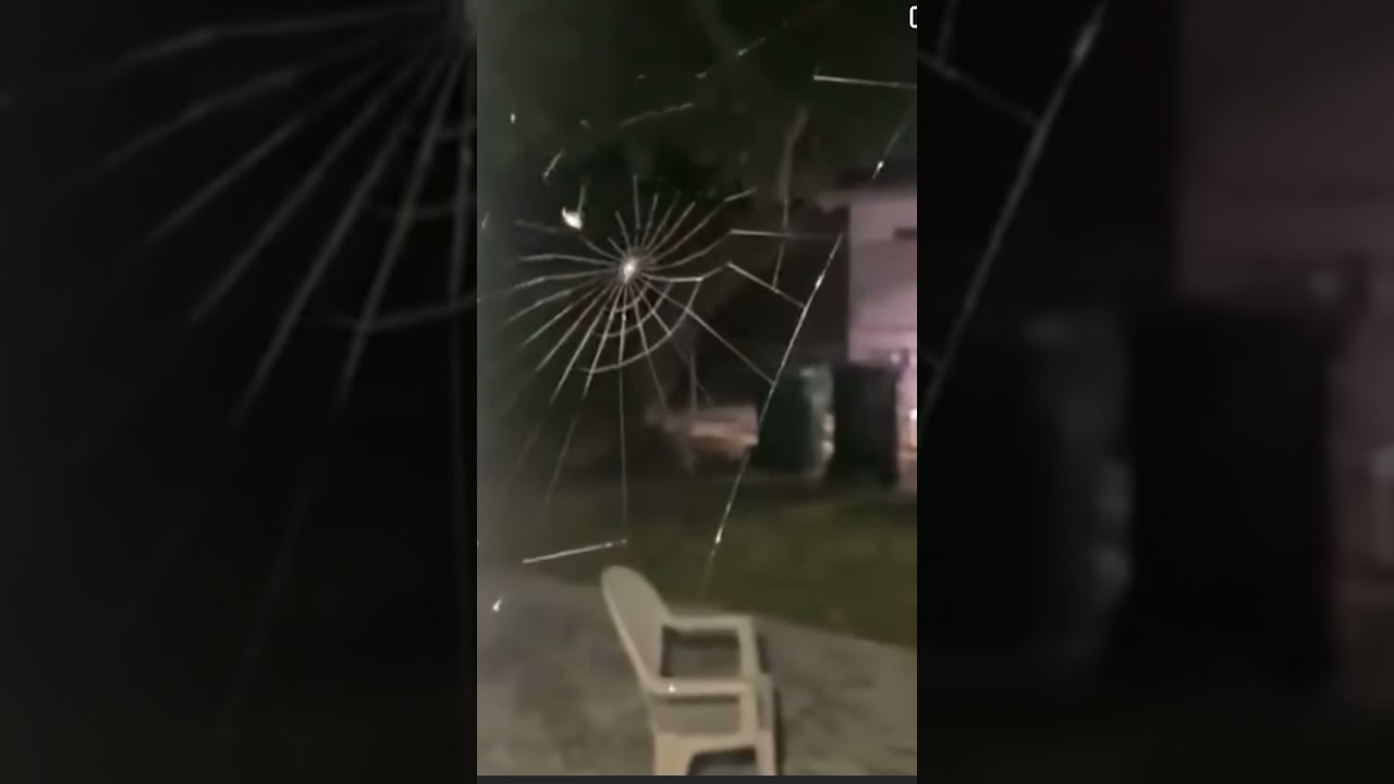 Spider 🕷 making a web time lapse