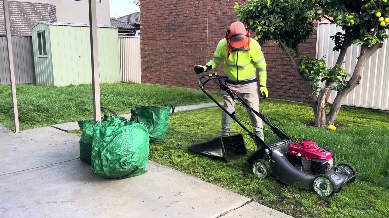 I struggled to cut and bag this tall grass with the lawnmower
