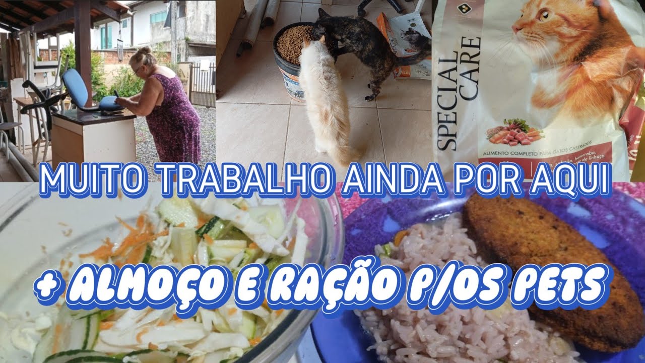 ALMOÇO, RAÇÃO E REPAROS! O DIA FOI PRODUTIVO! 🥘🥗😹😻🐶💺🛠️🪛