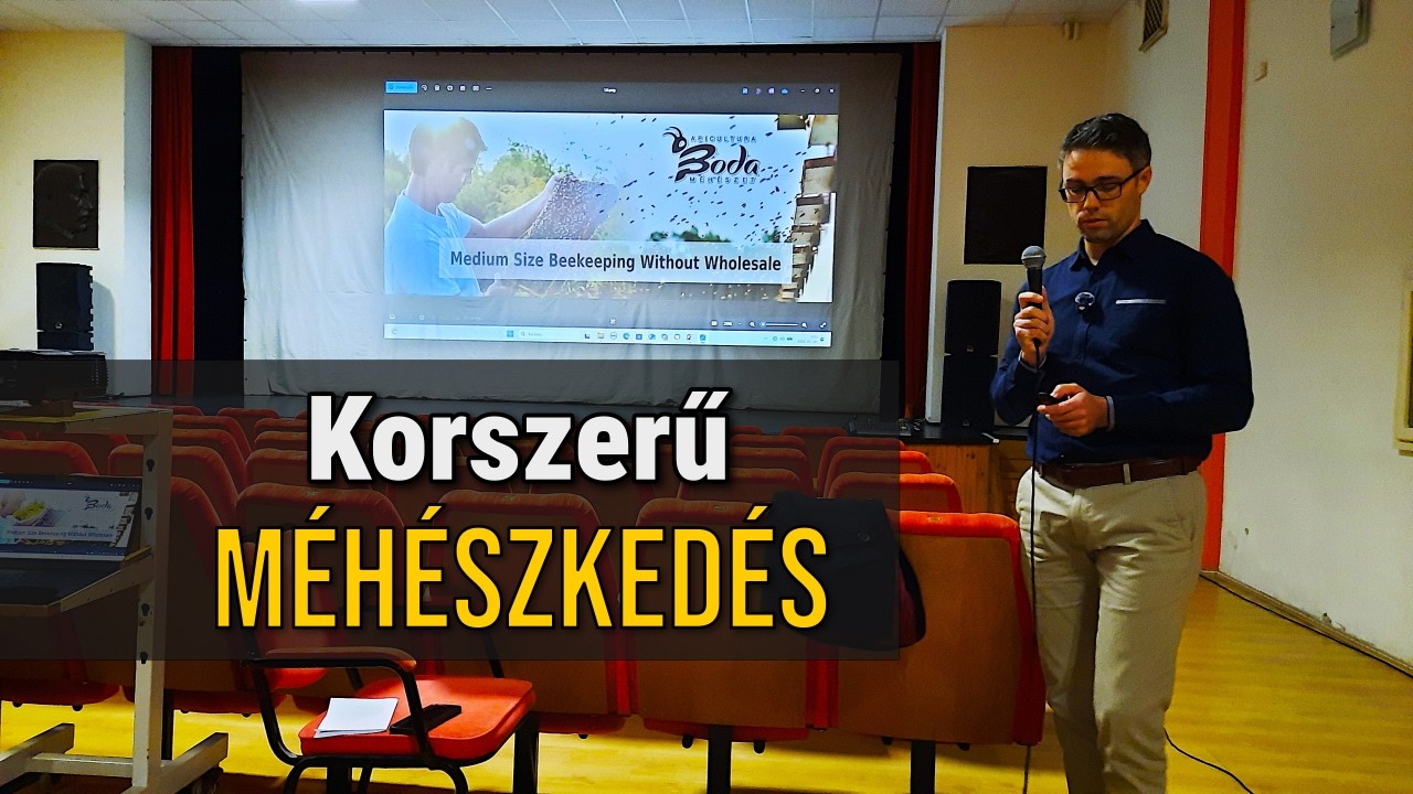 Így élünk meg a méhészetből: pályázat és nagykereskedés nélkül