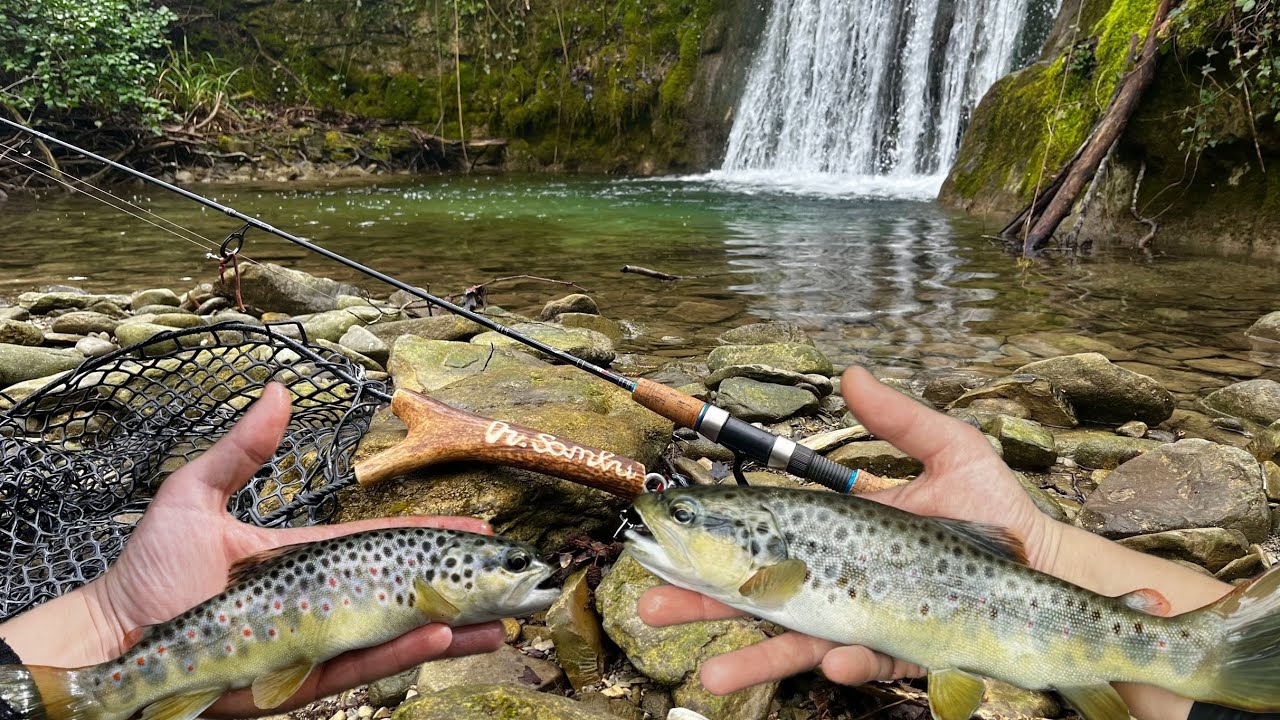 APERTURA pesca alla TROTA in TORRENTE 2025 | 