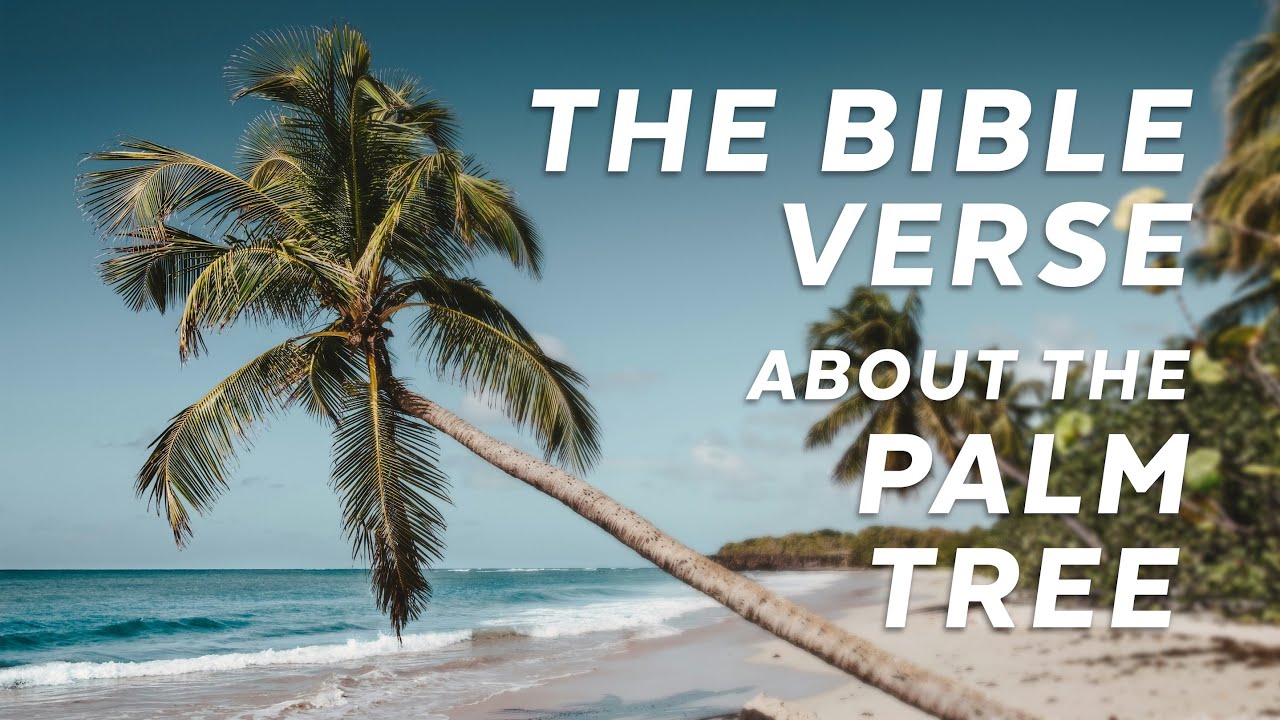 The Bible Verse About the Palm Tree - Psalm 92