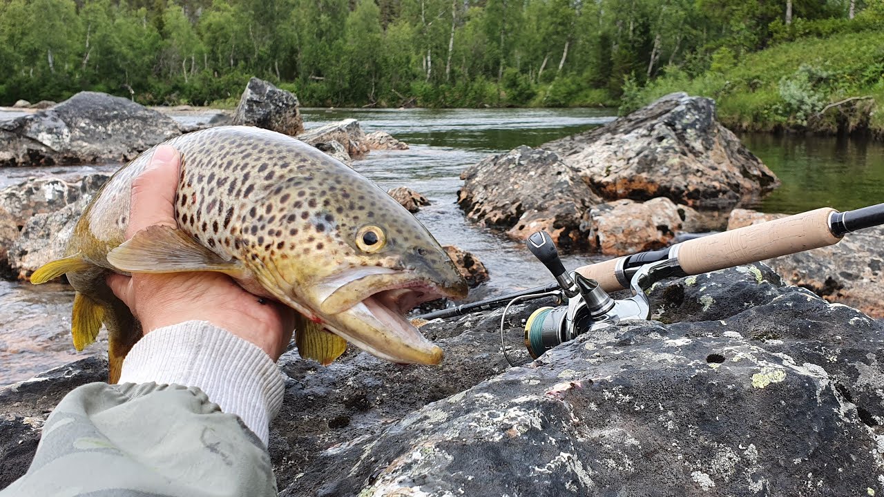 Lapimaa Kalareis 2019