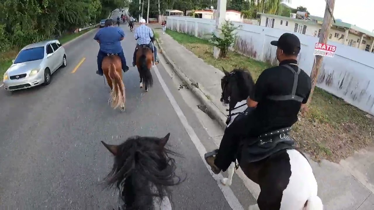 La Presión en Coamo, buena ruta con grandes caballistas #elcaballoyelcaballista