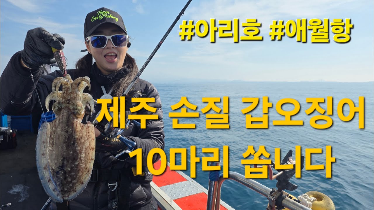 [제주 갑오징어 7회차] 손질 갑오징어 10마리 쏩니다! 구독 누르고 채팅 참여하면 자동 응모! #해동 쿨러 추첨 이벤트까지 #아리호 #버퍼 없는 스타링크 방송중